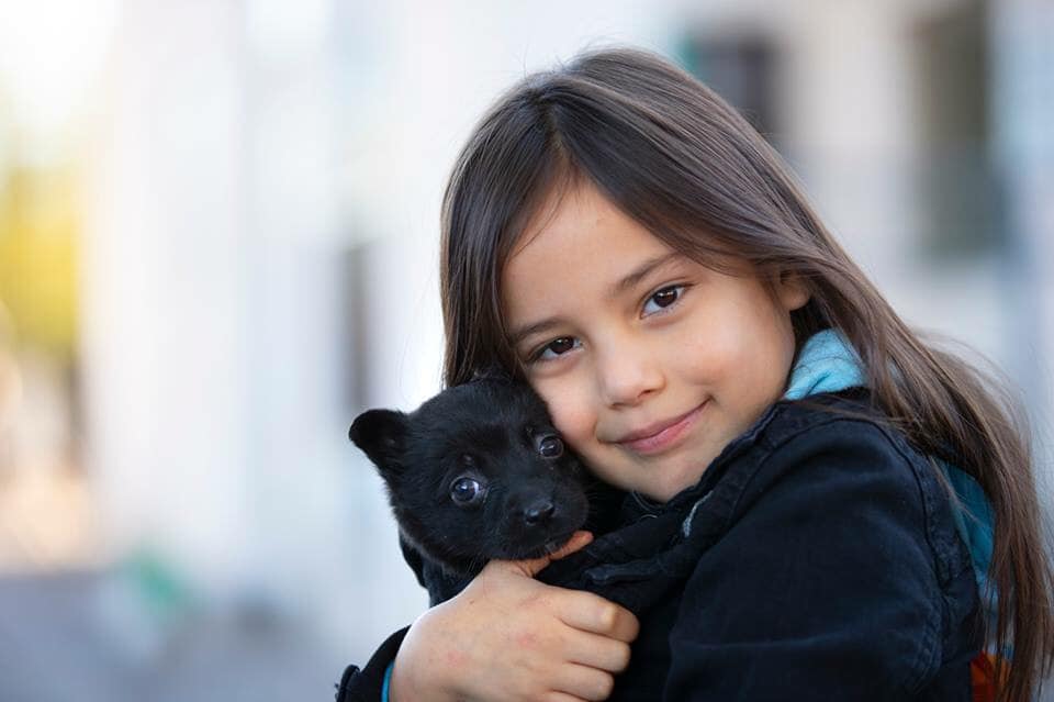 Primavera Hosts PACC's First "Tucson Homeless Pet Connect" Event