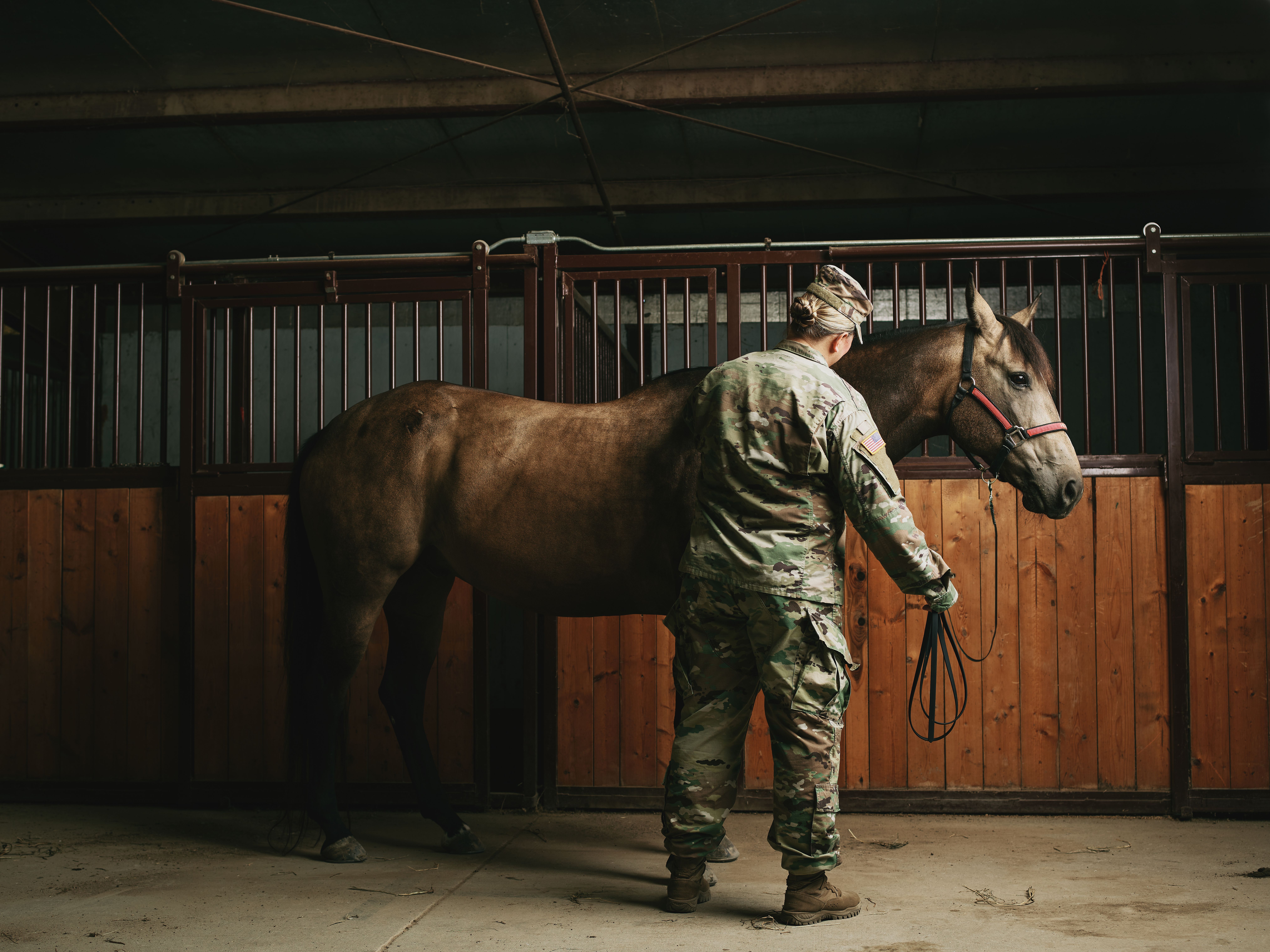 Equine Services for Veterans & First Responders