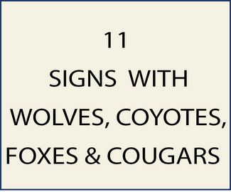 11. M22900 - Signs with Wolves , Coyotes, Foxes, and Cougers (Mountain Lions)