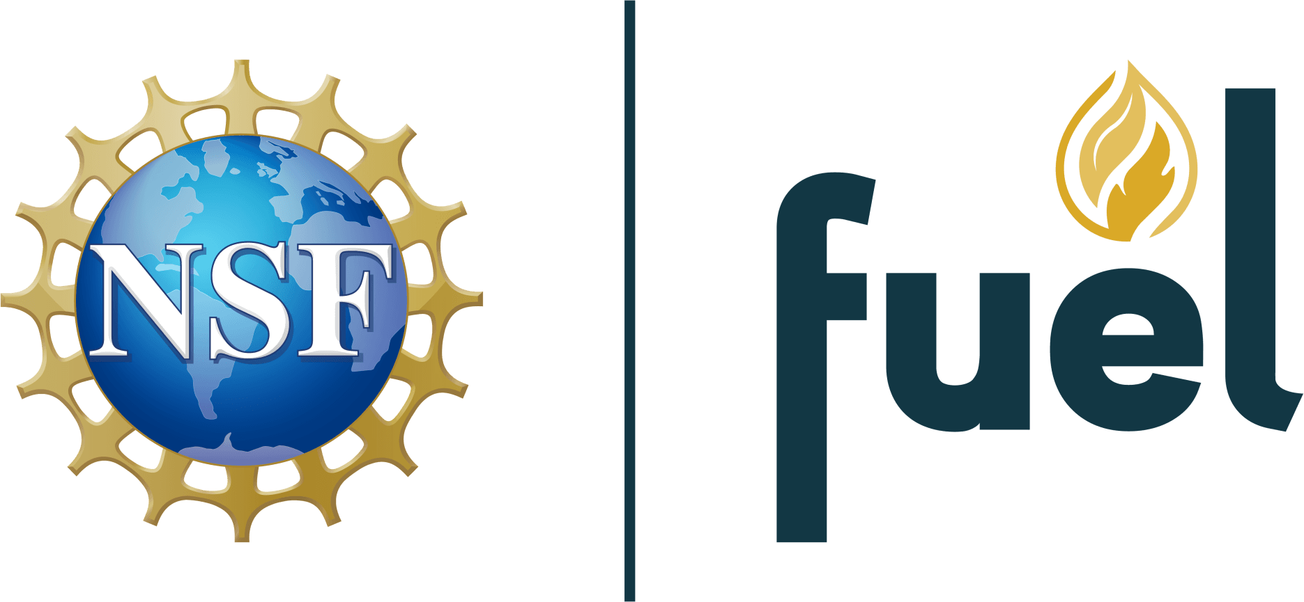 NSF and Future Use of Energy in Louisiana logos. 