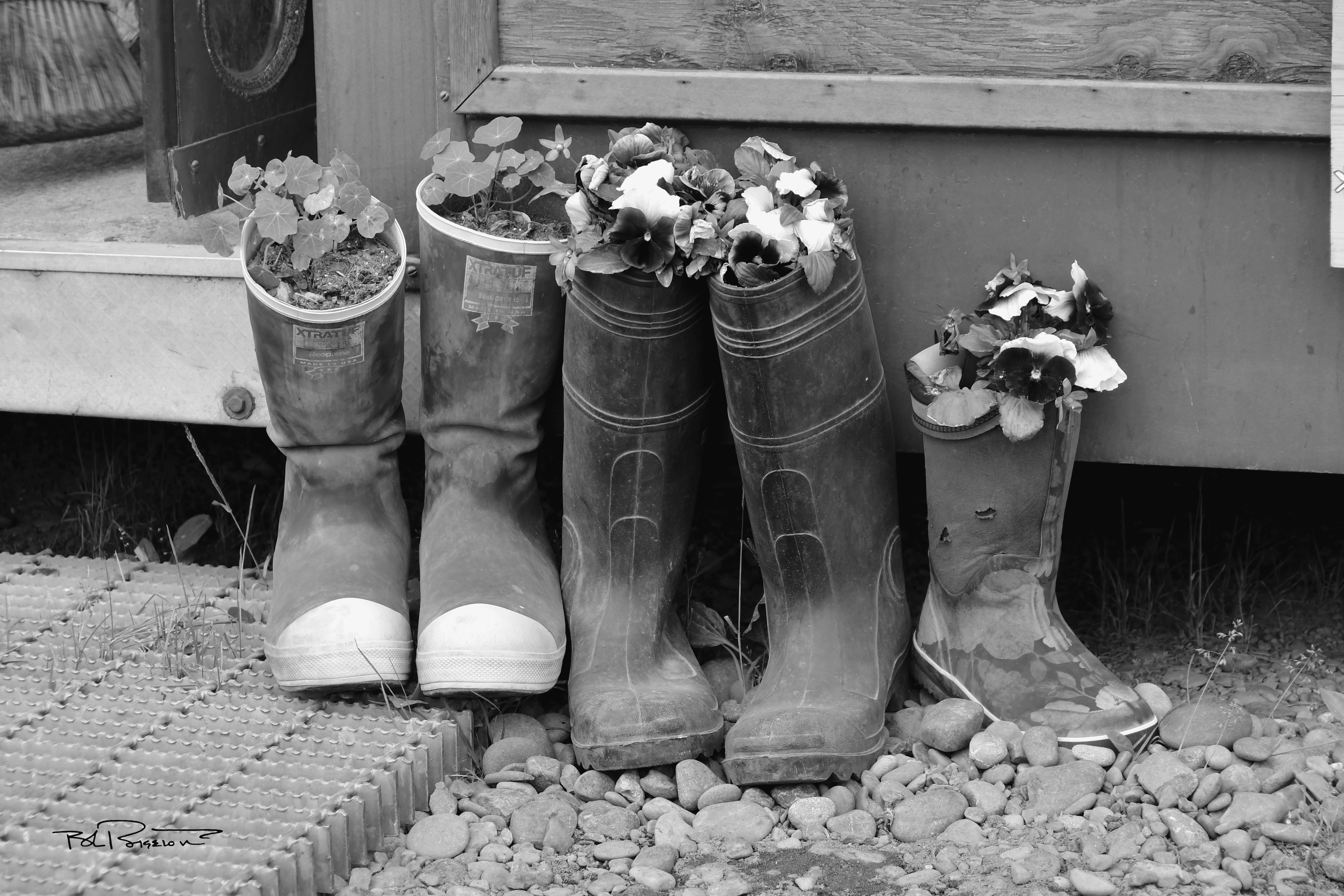 Boots & Flowers B&W