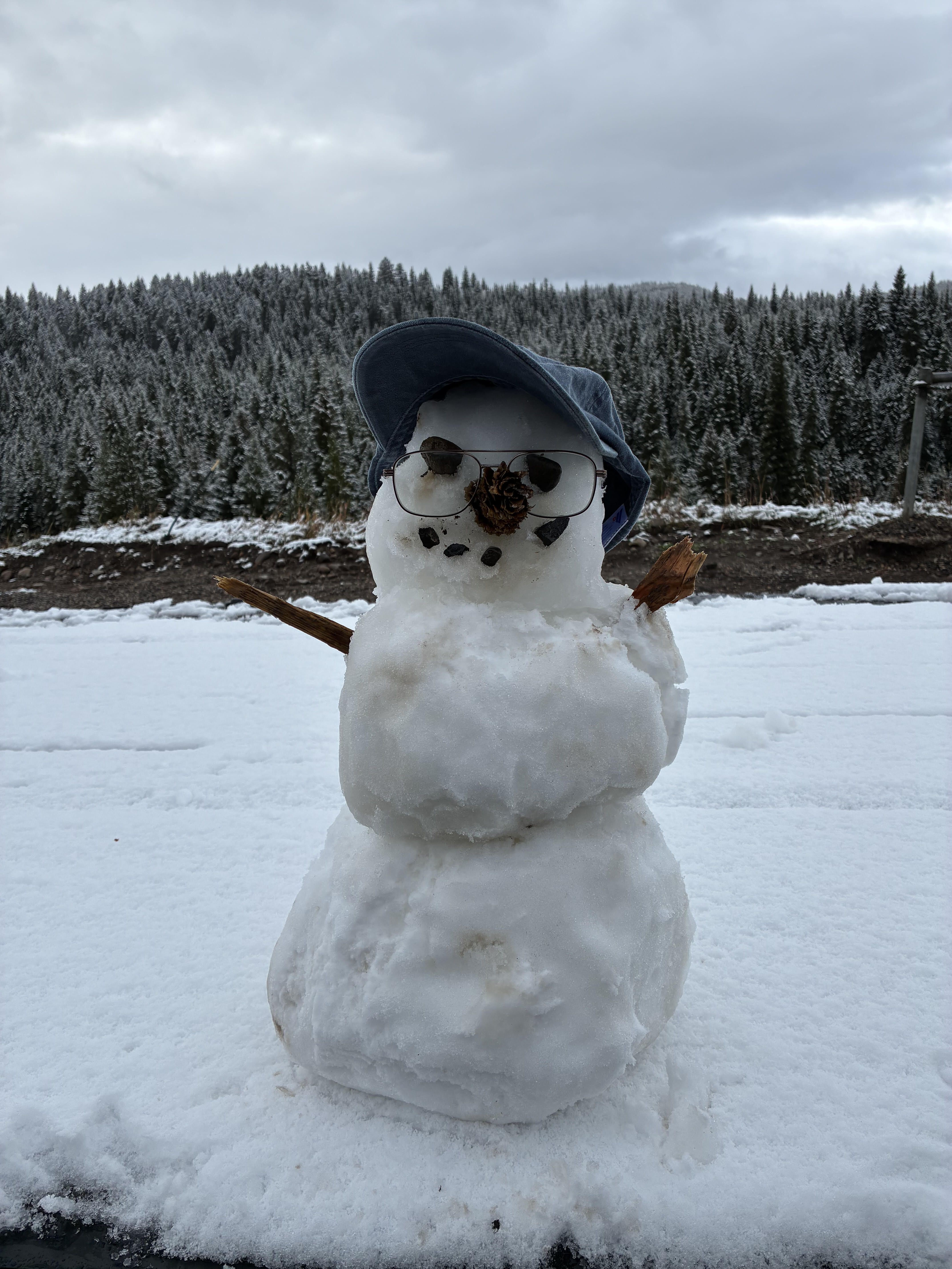 A small snowman in a snowy field