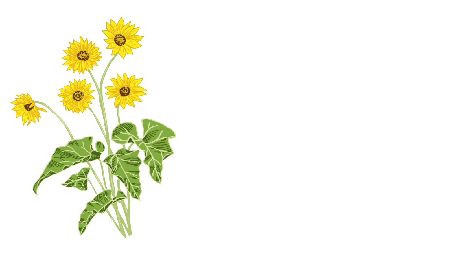 Missoula County Department of Ecology and Extension