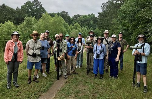 Spring Creek Survey