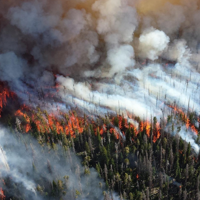 Advocacy Alert: Weigh In on Workplace Wildfire Smoke Protections