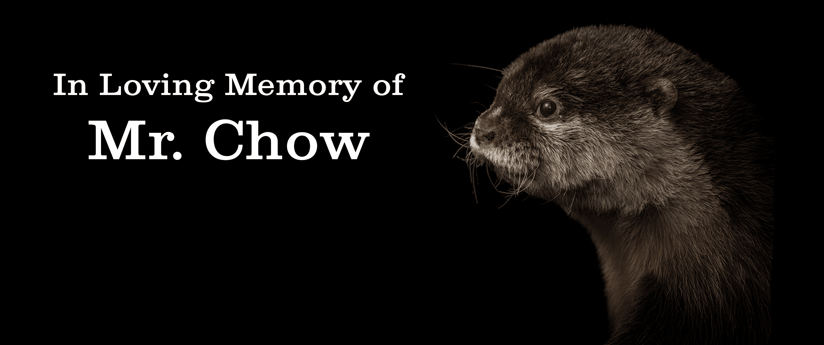 New Video on YouTube