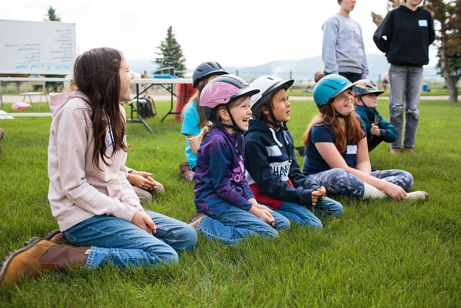 Gallop into Learning: Unforgettable Field Trips Start Here