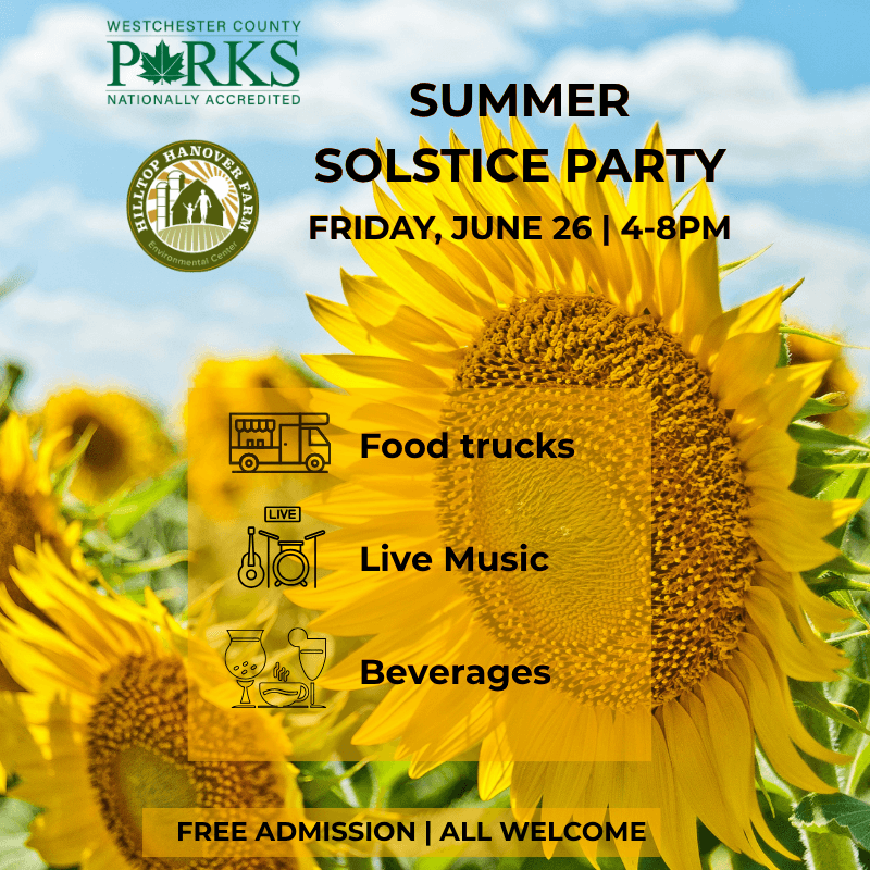 Summer Solstice Party