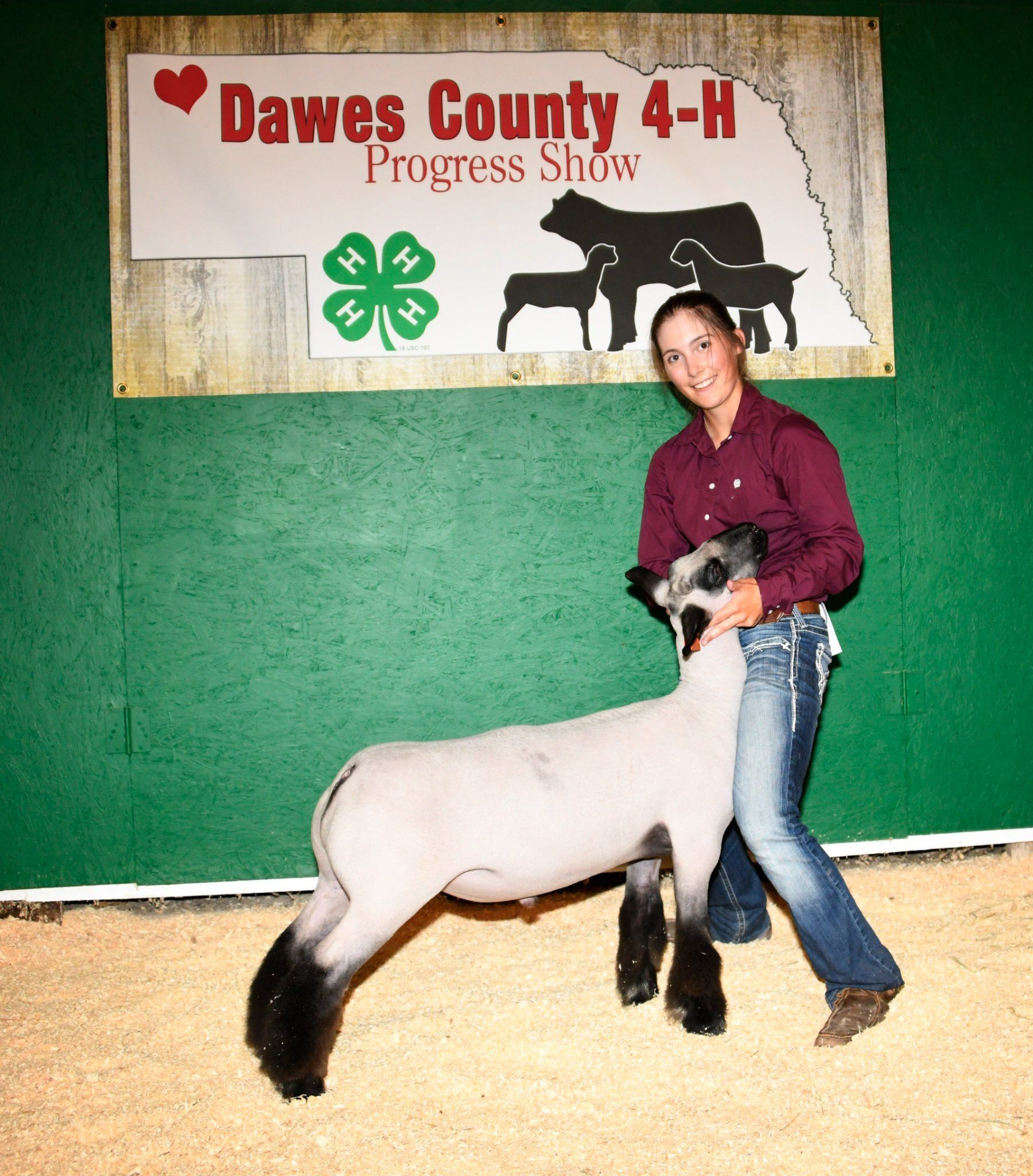 Reserve Champion Market Sheep: Shelby Carr. Photo credit: Nebraska Extension in Dawes County