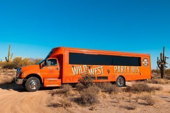 Buses and Vans