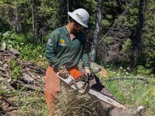 Fuel Breaks & Fire line with Spotted Bear Ranger District