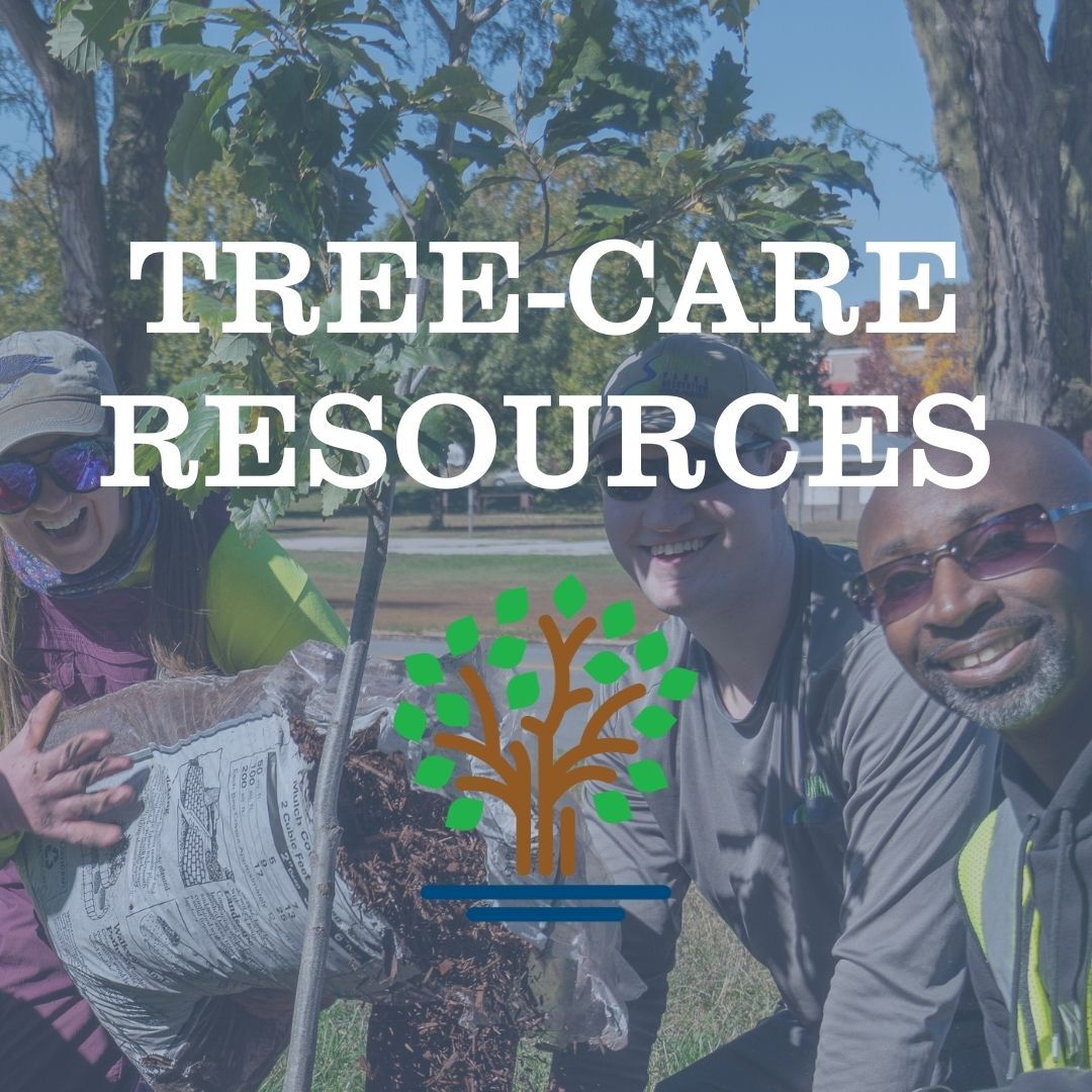 Tree Care Resources: