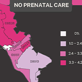 Safer Childbirth Cities: Trenton Interactive Disparities Dashboard