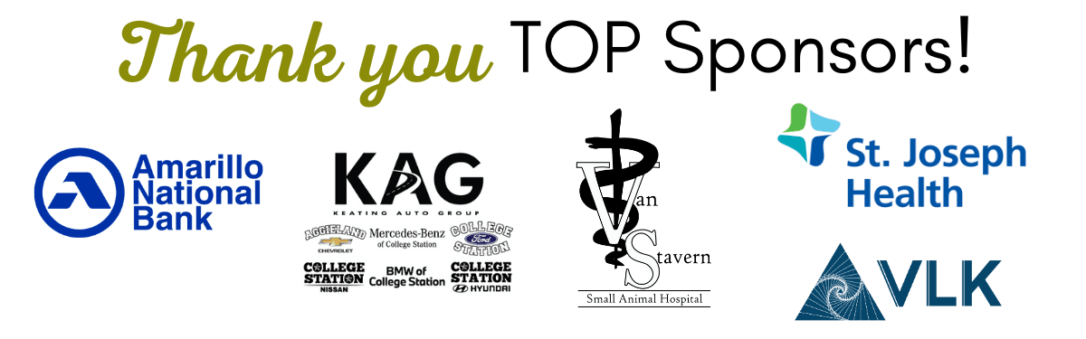 Top Sponsors of the Education Foundation