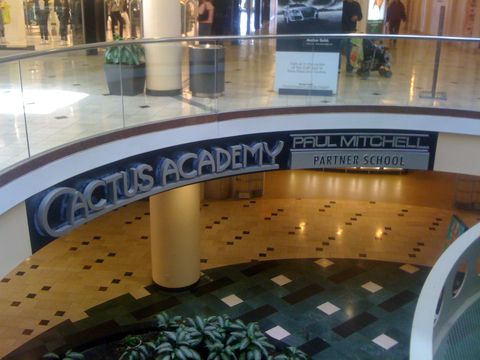 Cactus Academy