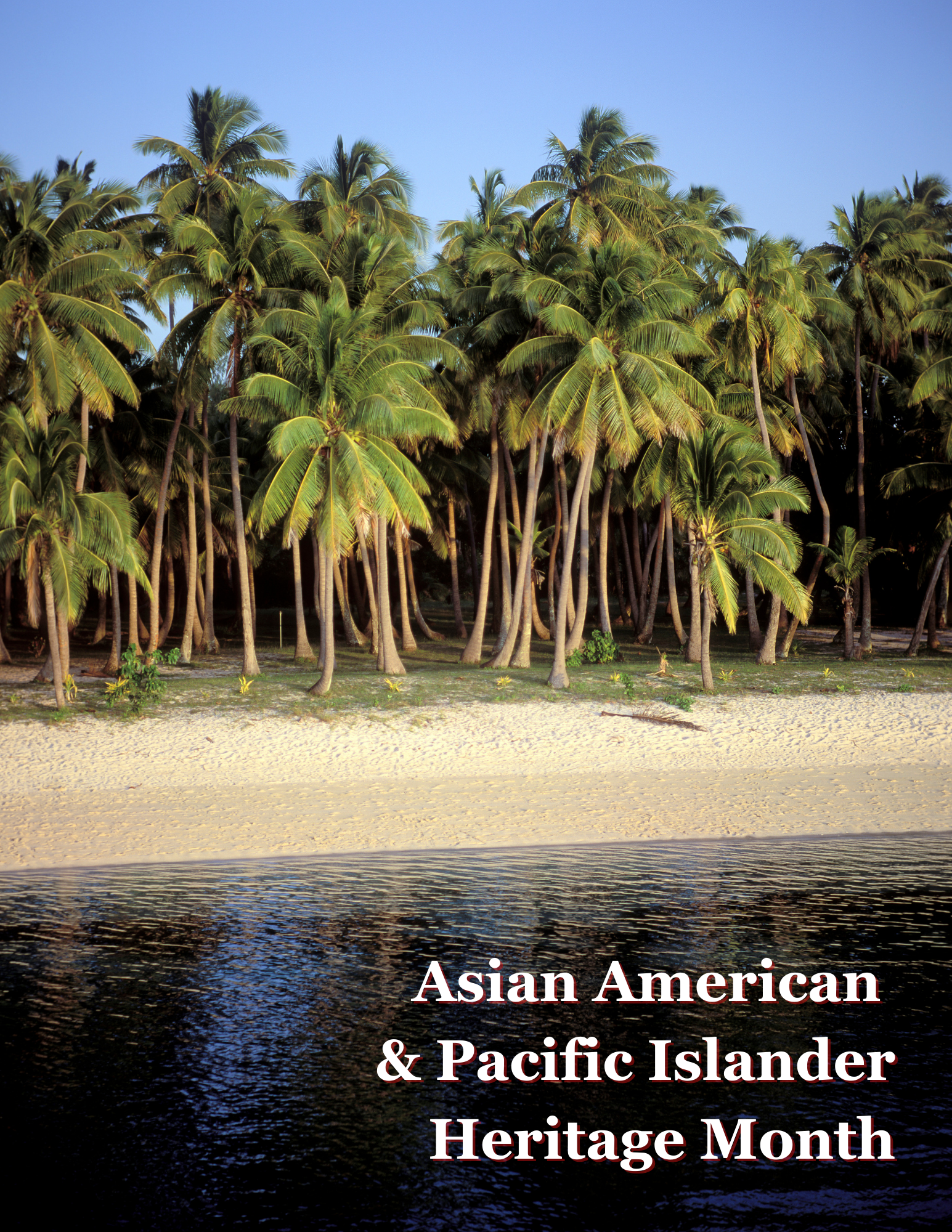 Dense palm tree forest near the shoreline of a black ocean