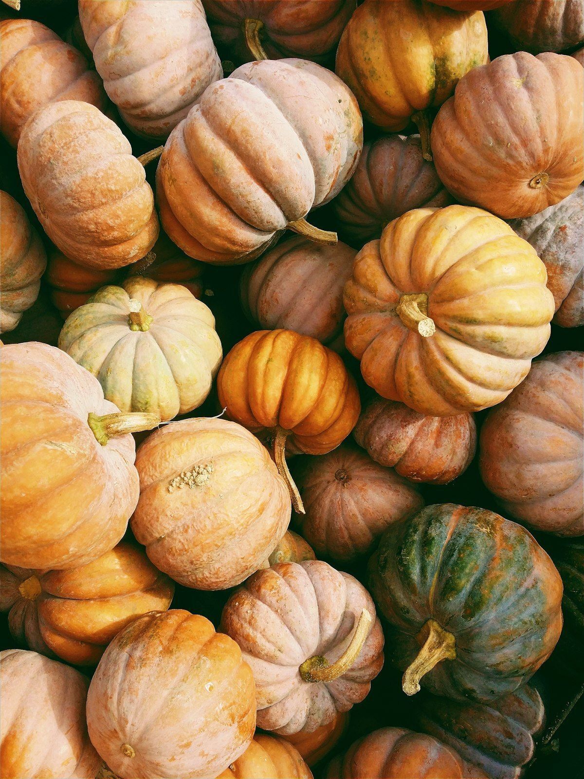 October 2026 Activities Calendar