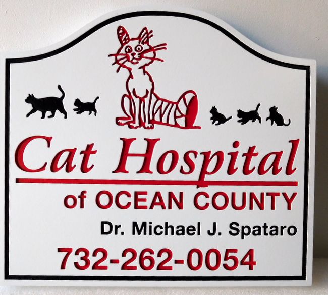 BB11779- Engraved Sign for Cat Hospital, with Cartoon Cat as Artwork