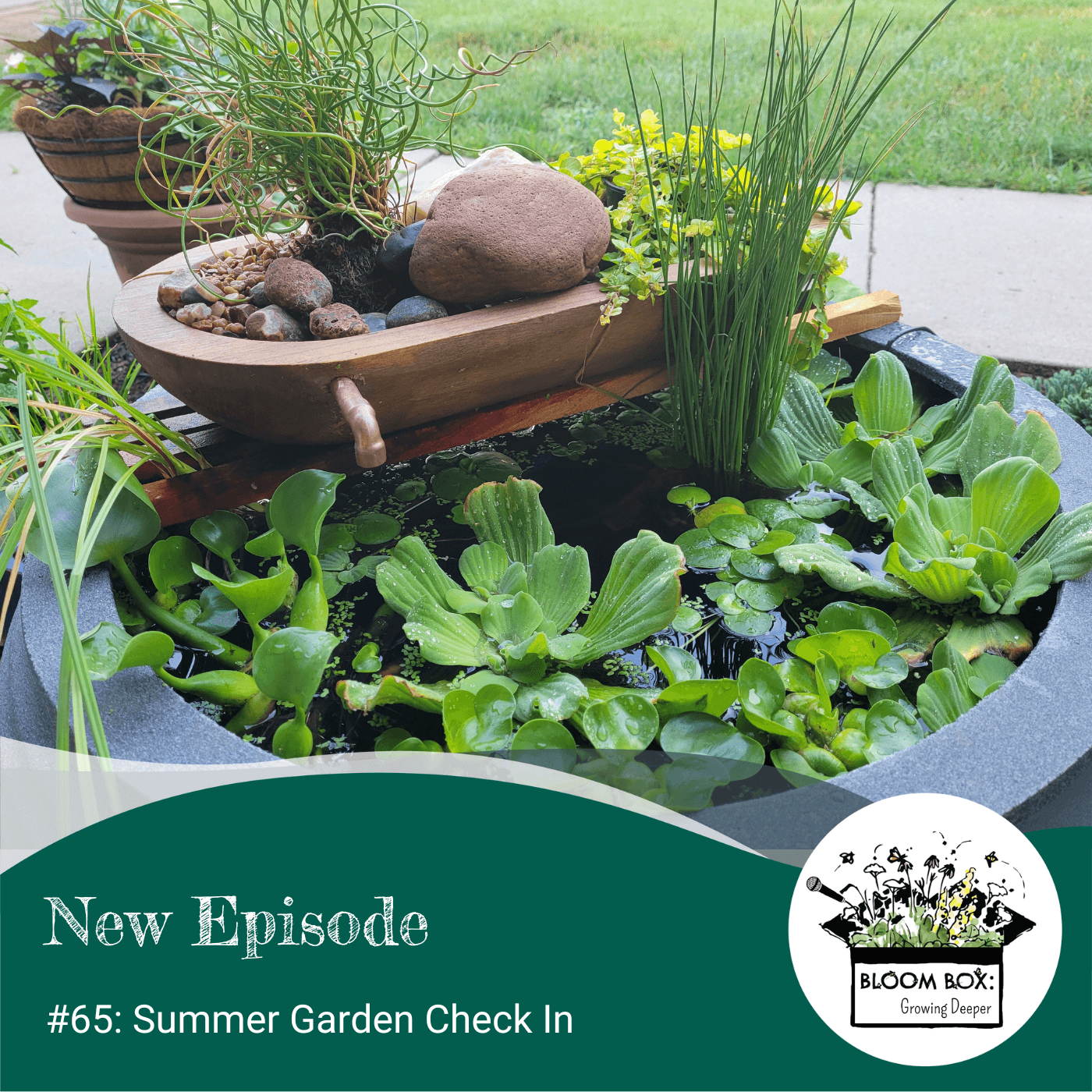 Episode 65: Summer Garden Check In