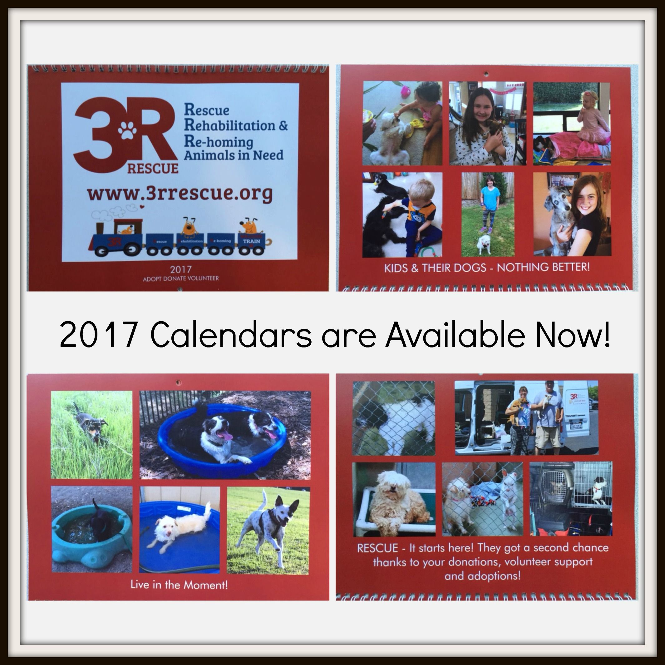 3R Rescue 2017 Calendars are here!