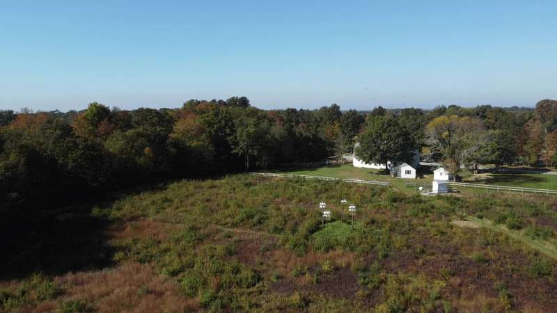 Early Successional Habitat in Rhode Island