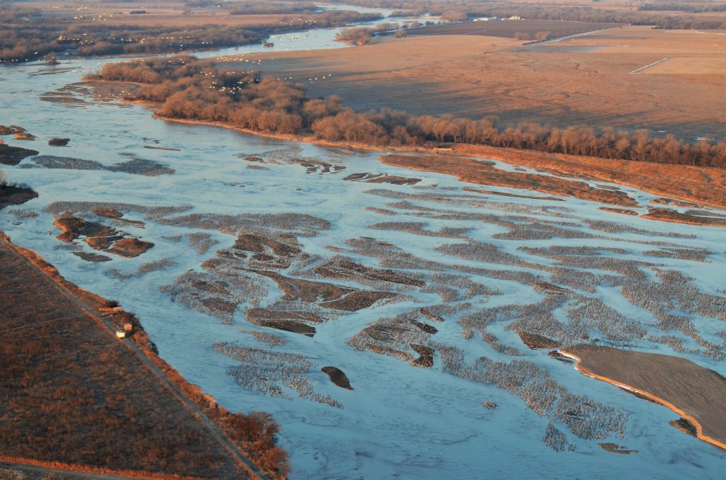 Sandhill Crane Counts - Week 3