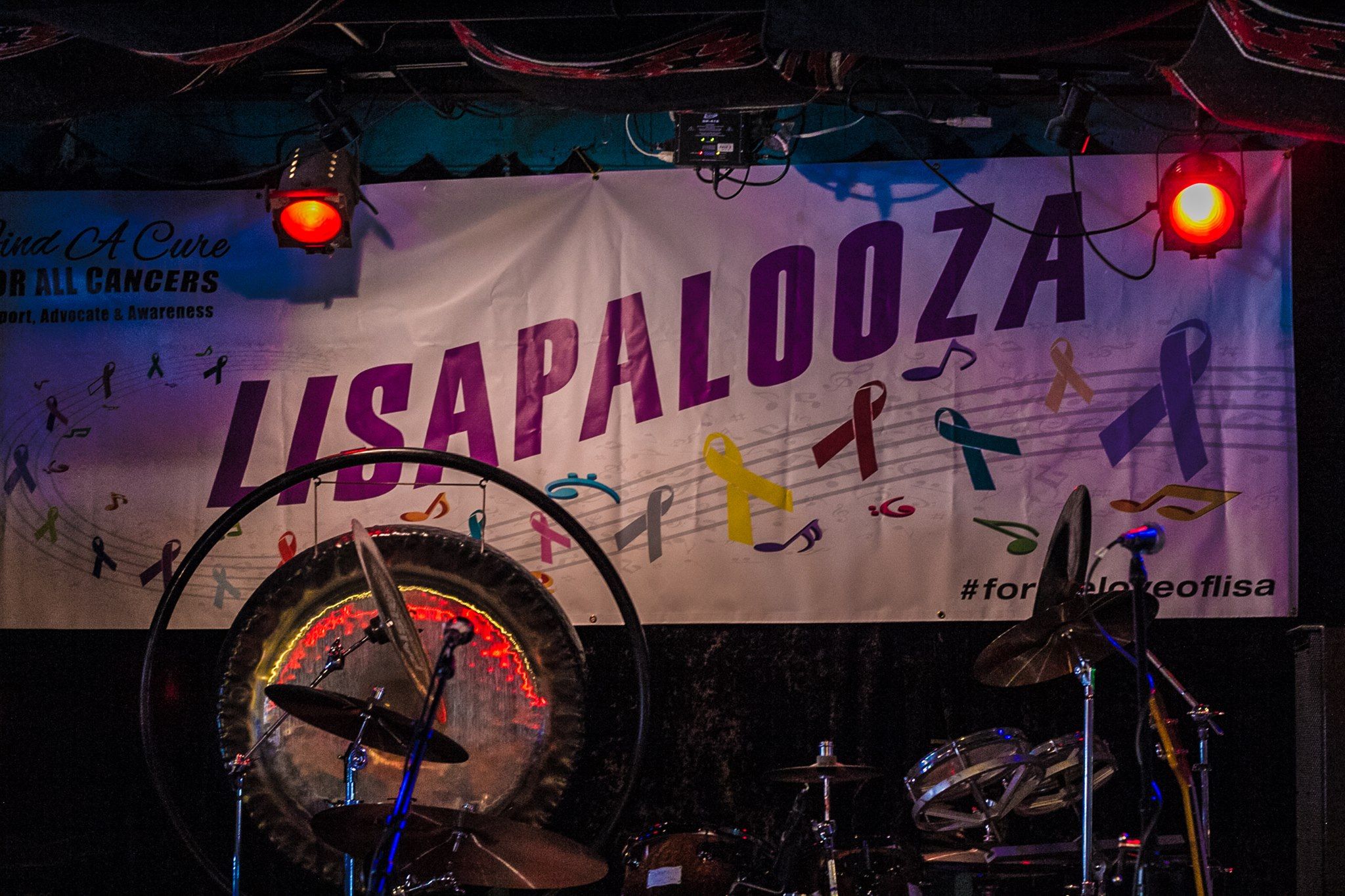 Lisapalooza banner
