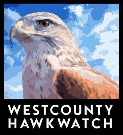 Bird of Prey Hikes