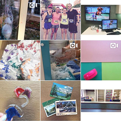 Silly String on Instagram