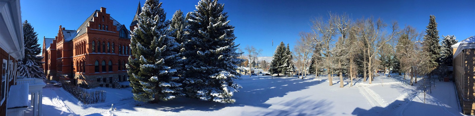 Paw Prints for Success Winter Auction