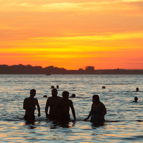 Sunset Swim