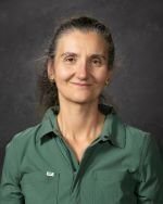 Christina Di Gangi, PhD - Faculty: English