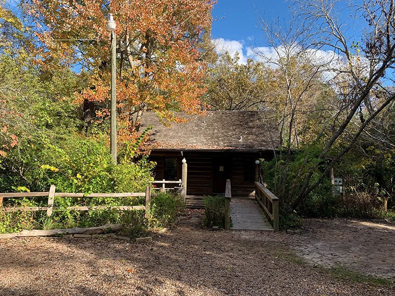 Wellness in the Sanctuary