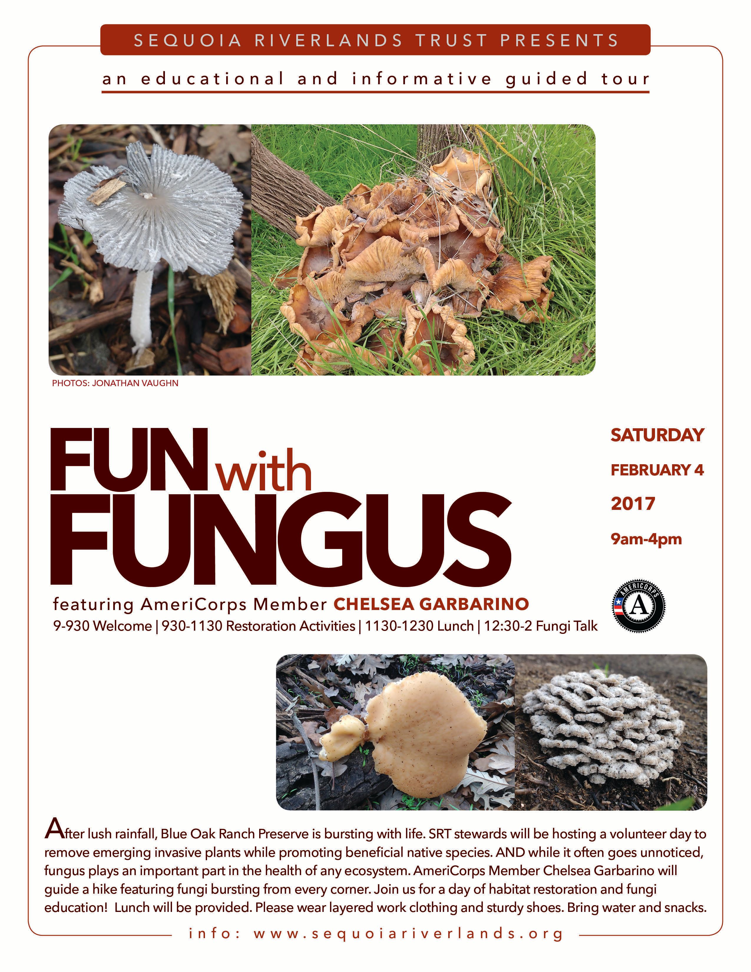 Fungi event at Blue Oak Ranch Preserve