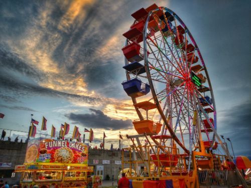 Why You Should Visit Your Local State or County Fair