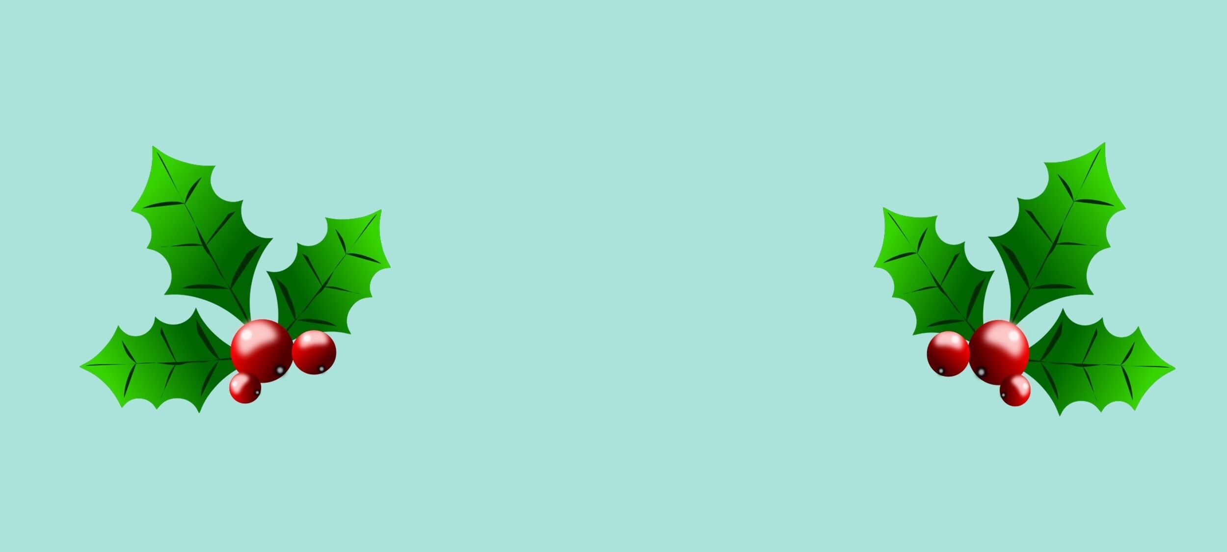 Check Out our Holiday Wish List!