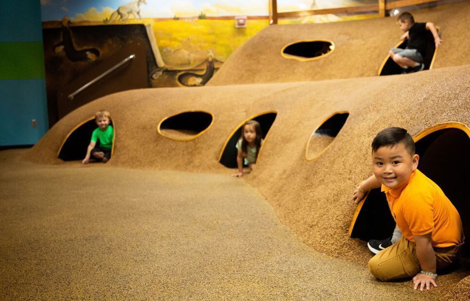 Children playing in an indoor playground with a nature-themed design featuring a large, brown, textured play structure with tunnel openings.