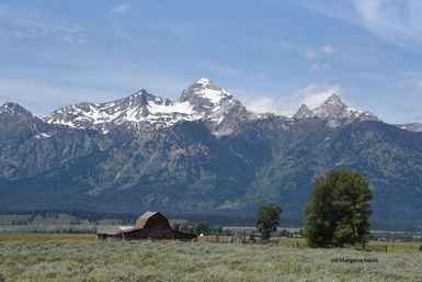 There is much to see and do in and near Jackson, Wyoming