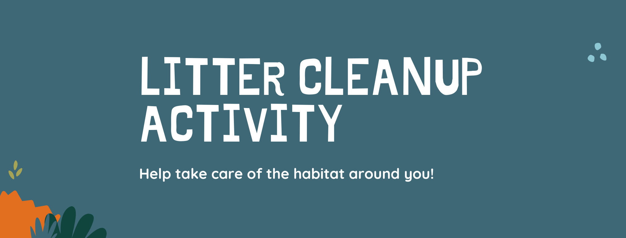 Litter Cleanup Activity