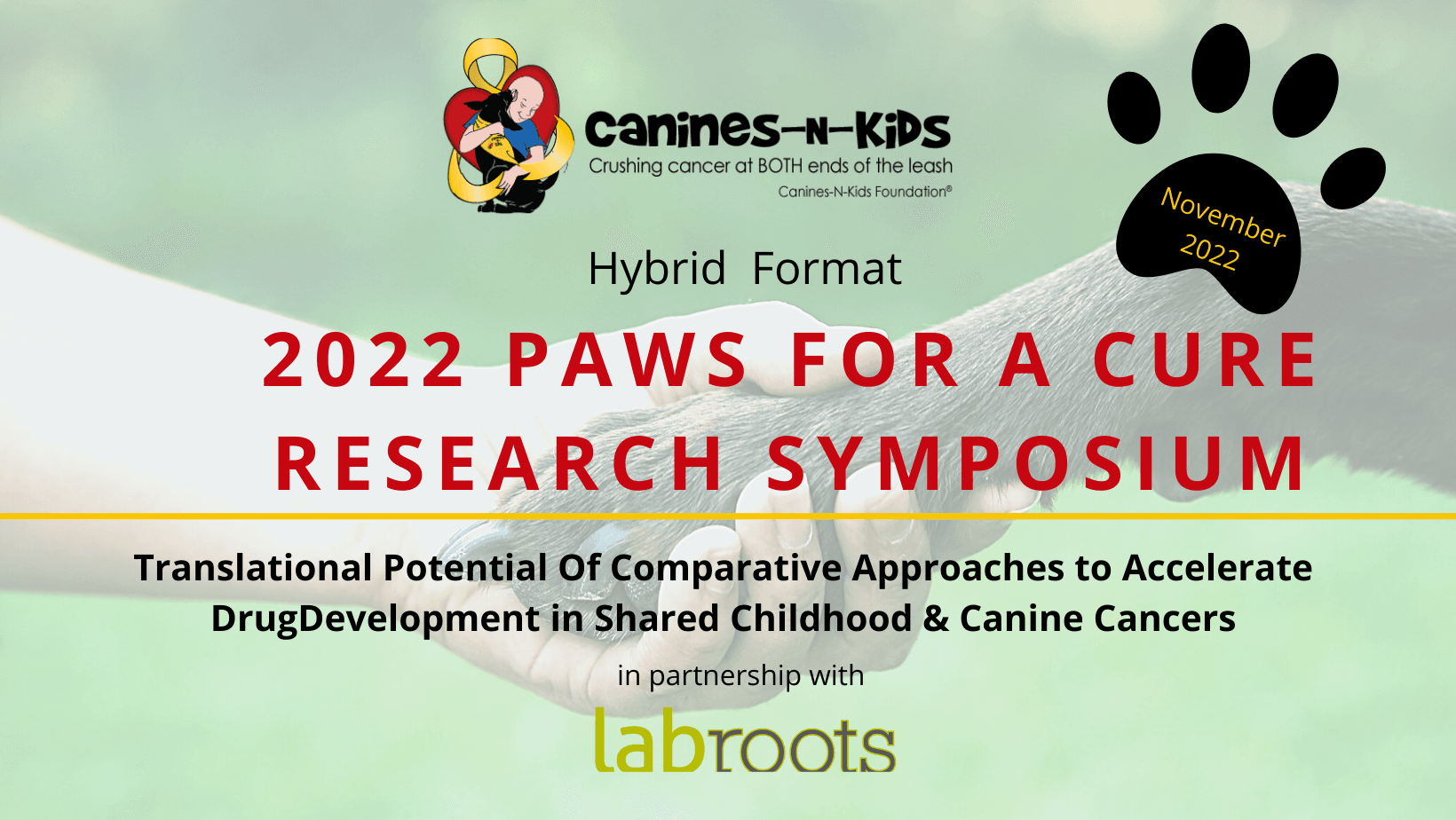Coming in 2022!  3rd (Hybrid) Paws for a Cure Research Symposium 