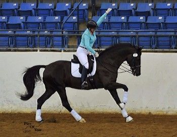 Dressage at Lexington 2015 Hosts Show’s First Two-Tempi Challenge