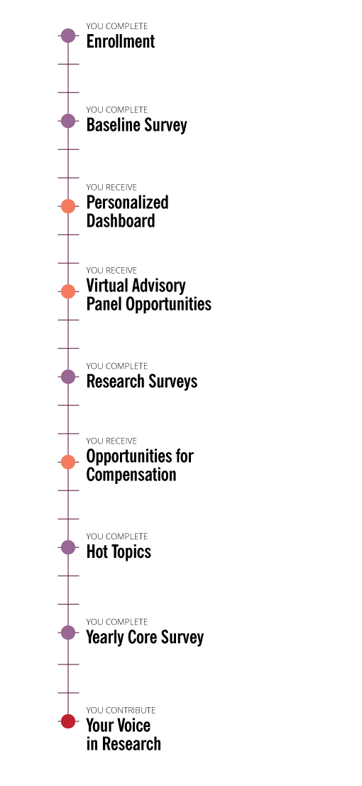 Idioma Catalán Study Resources