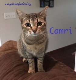 Camri