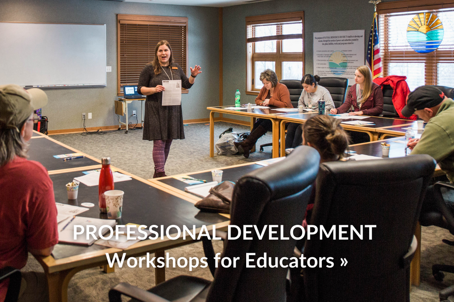 professional development workshops