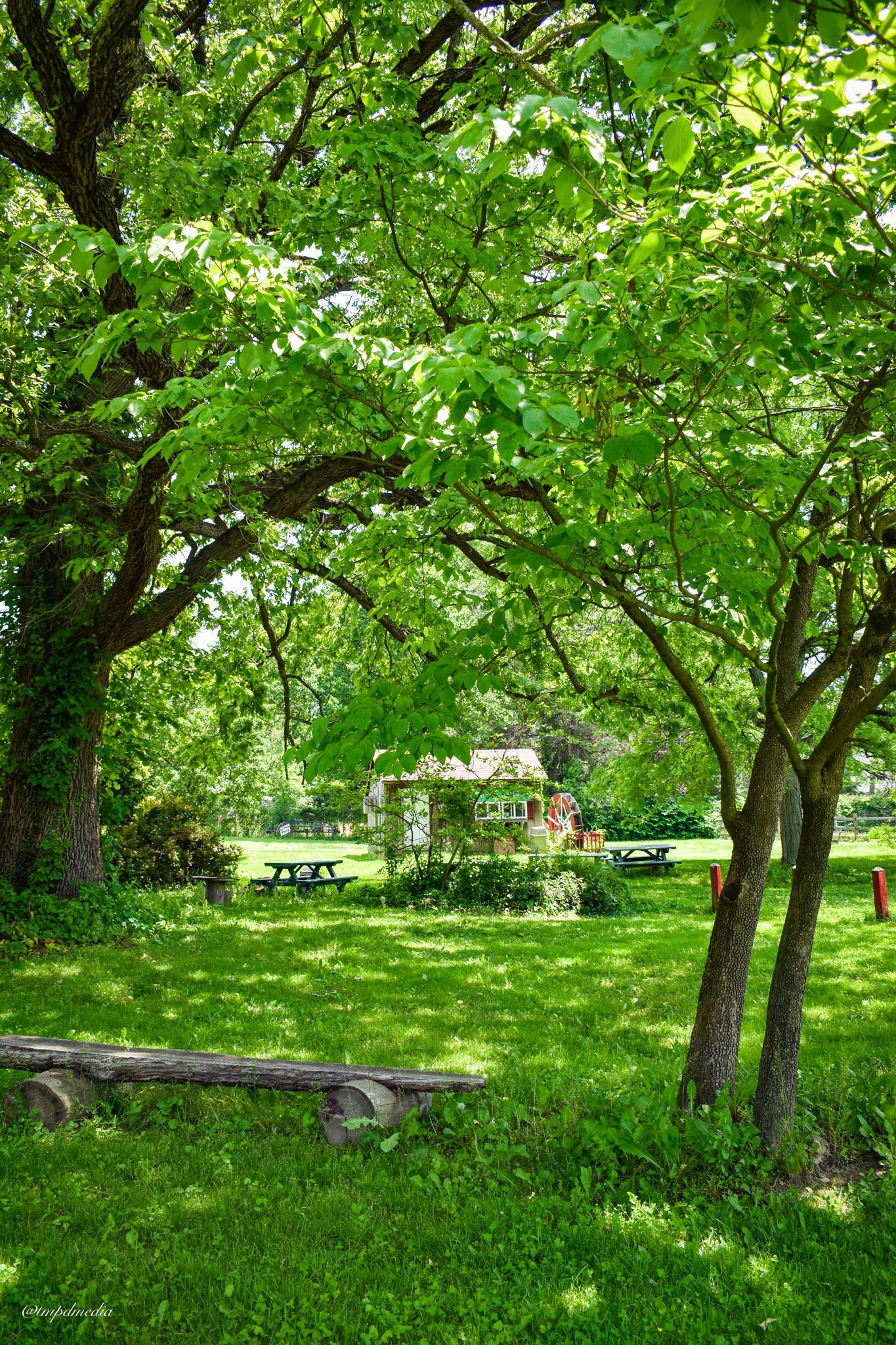 Have Your Party on the Farm!