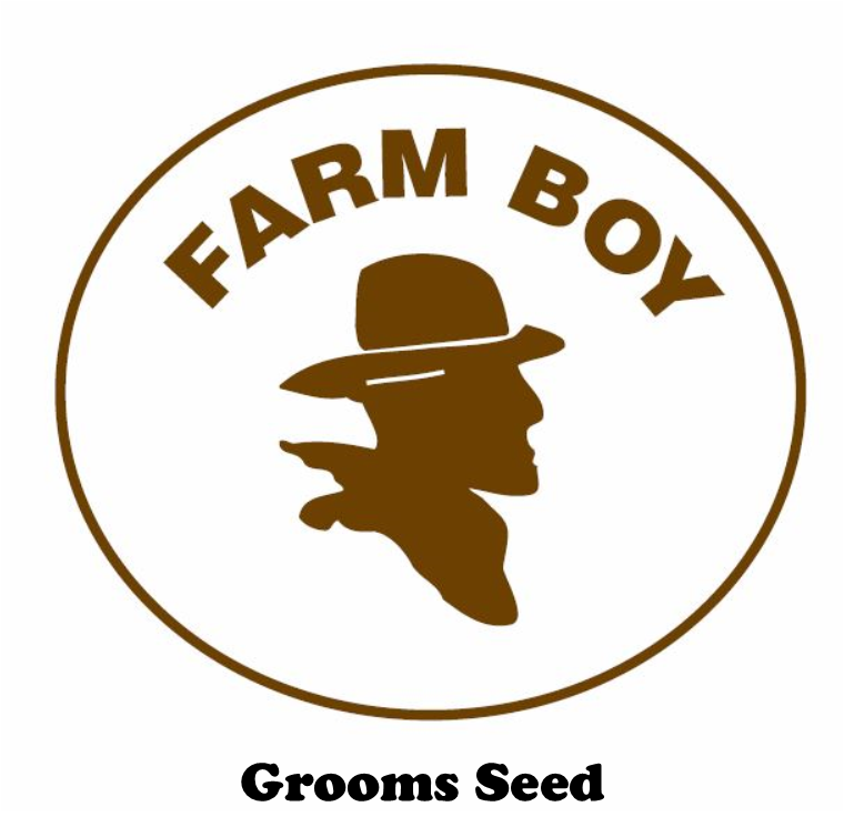 Grooms Seed 