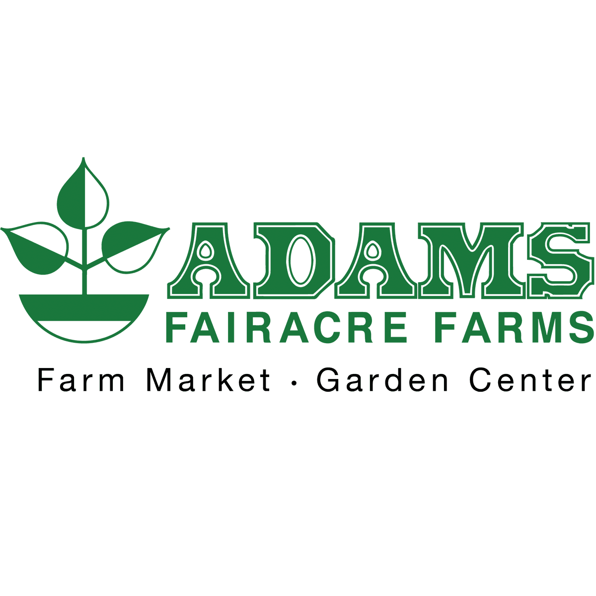Adams