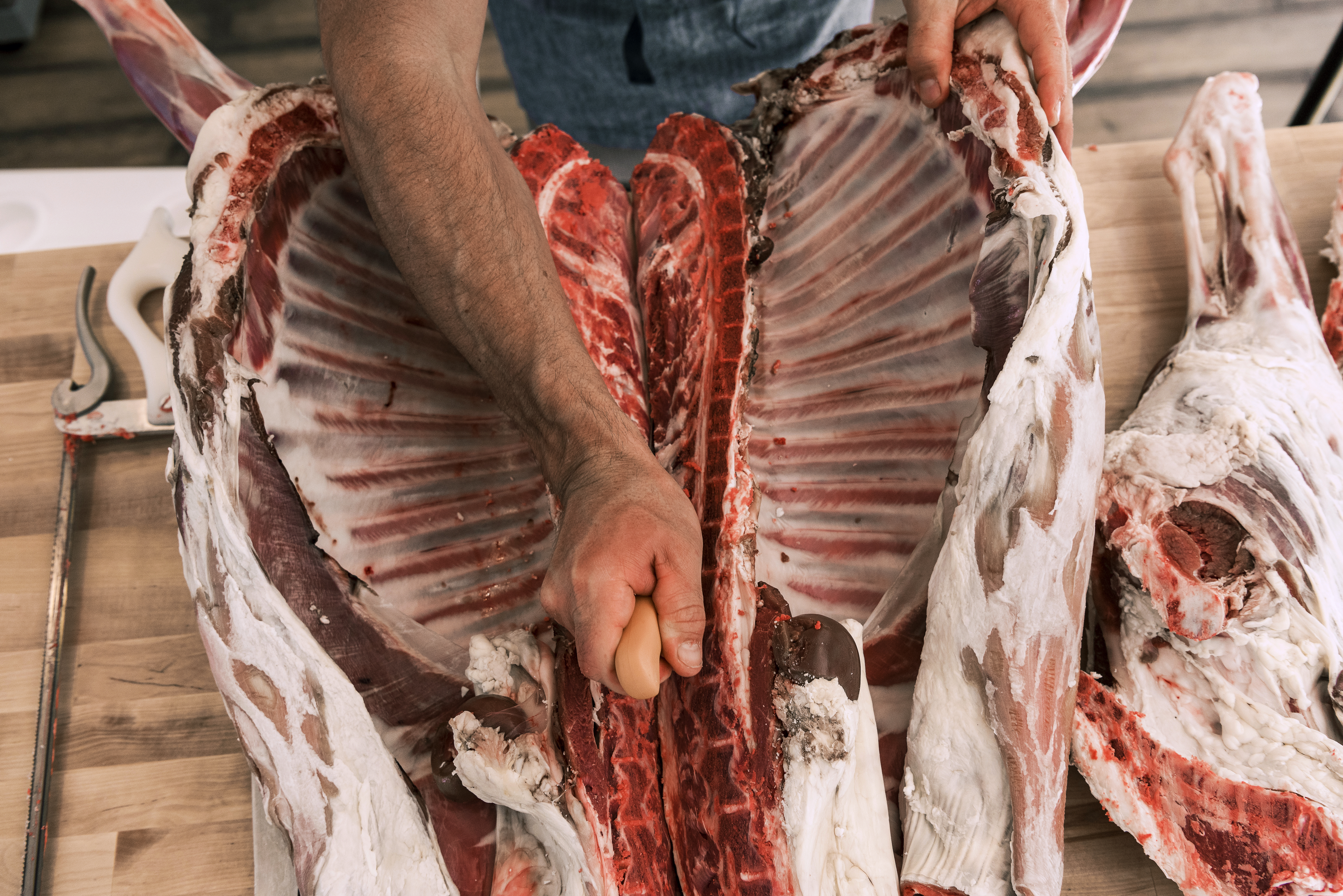 Good Meat Matters: A Whole Carcass Butchery Demo, Cut Analysis, and Comparative Muscle Tasting for Hudson Valley Livestock Farmers