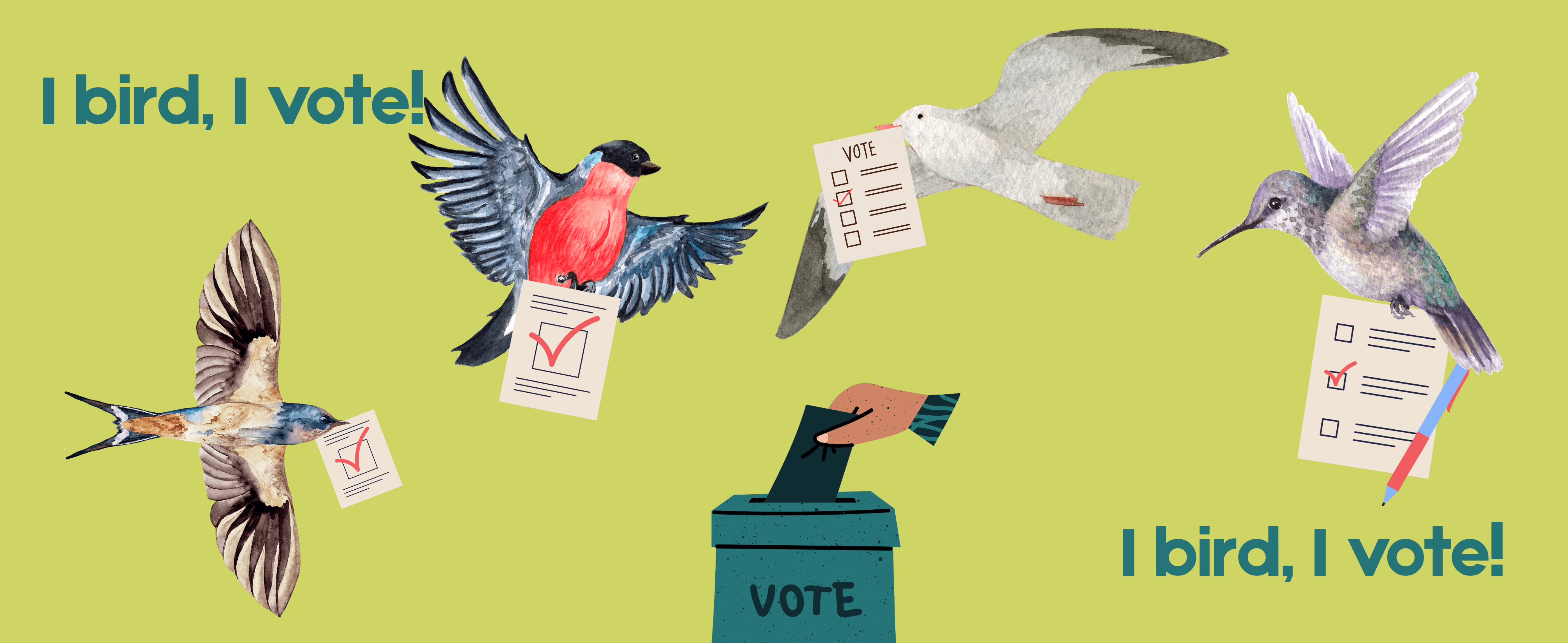 Election Guide