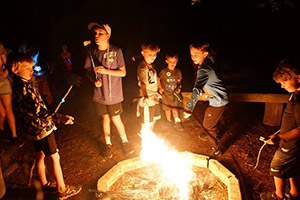 Campfire Nights